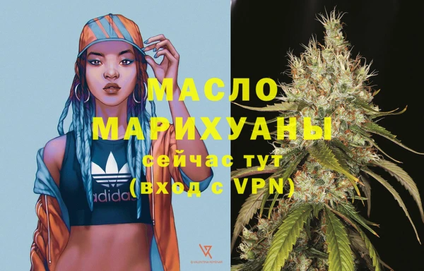 шишки Корсаков