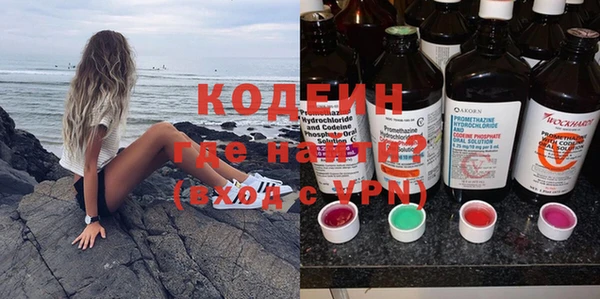шишки Корсаков